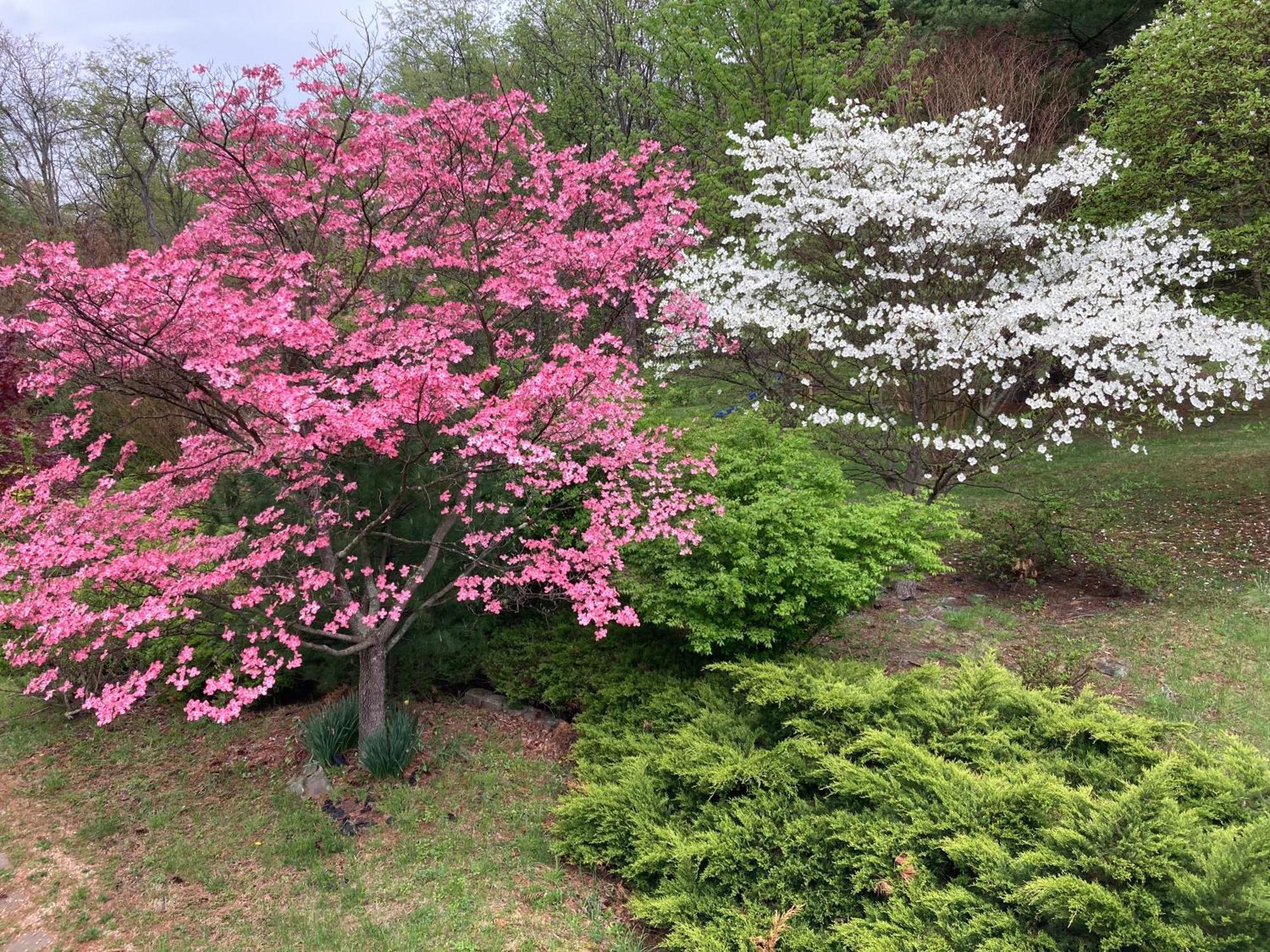 Purcellville Home Экстерьер фото