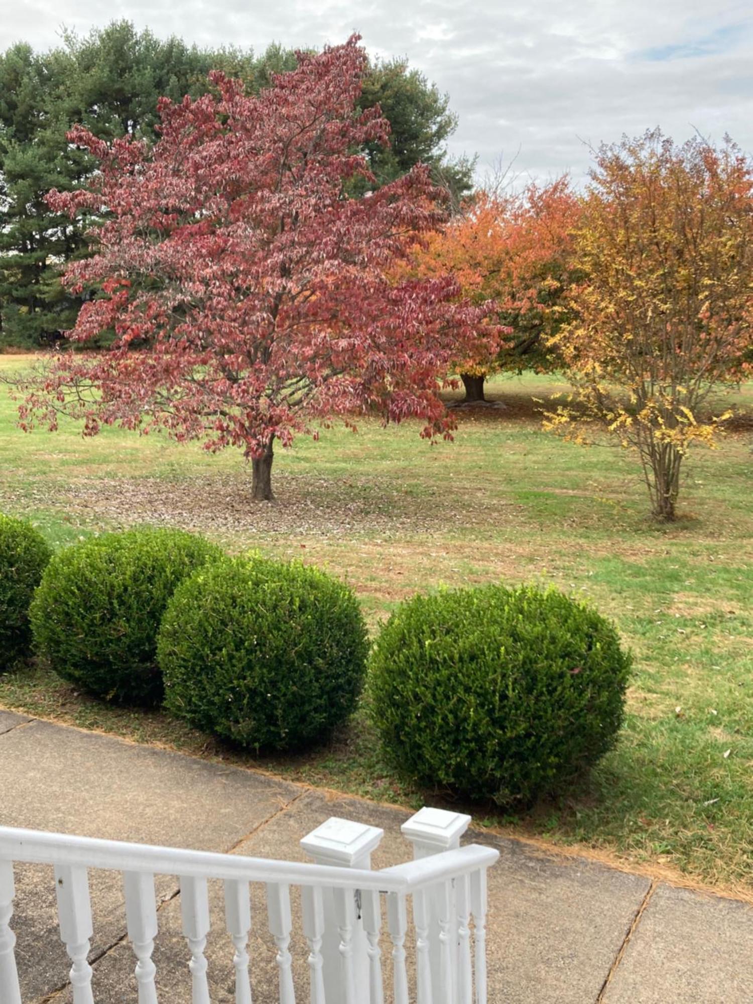 Purcellville Home Экстерьер фото