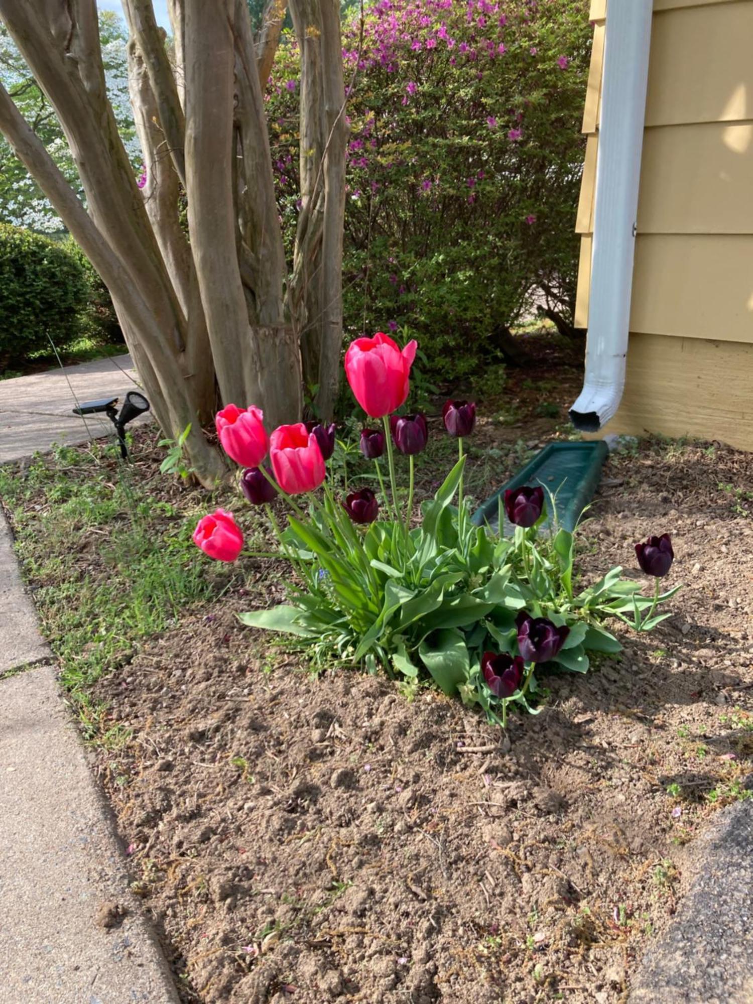 Purcellville Home Экстерьер фото