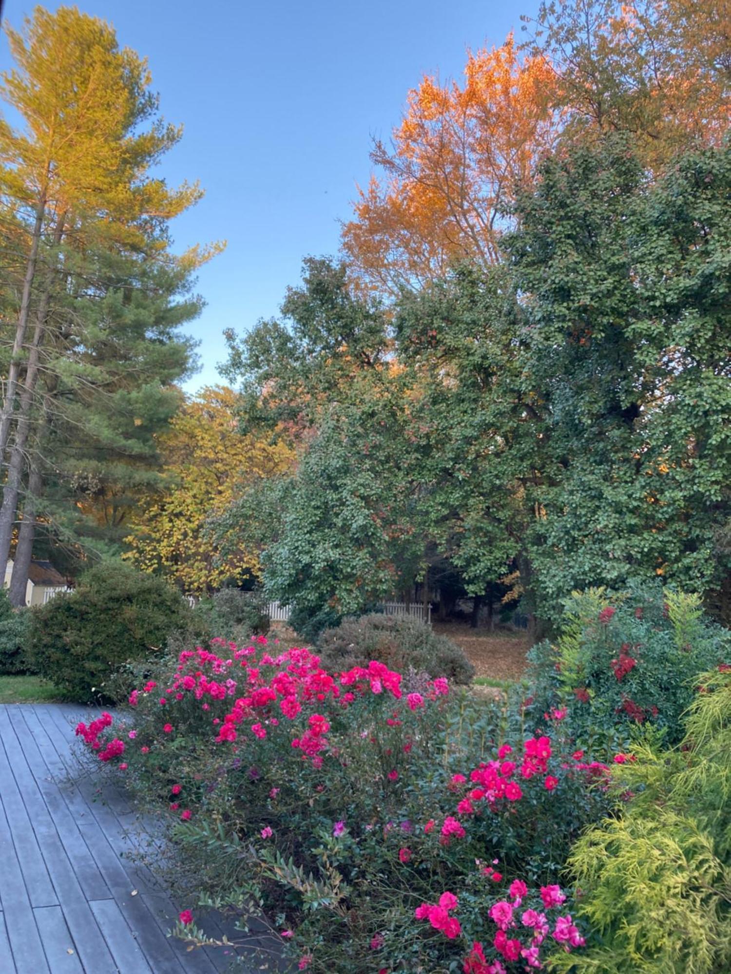 Purcellville Home Экстерьер фото